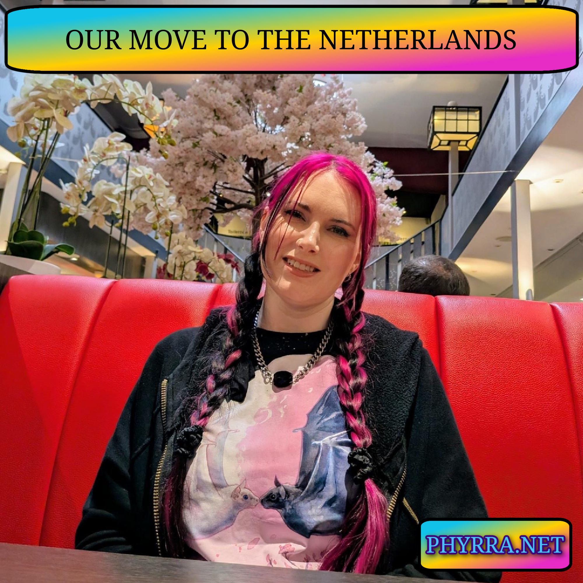 Our Move to the Netherlands